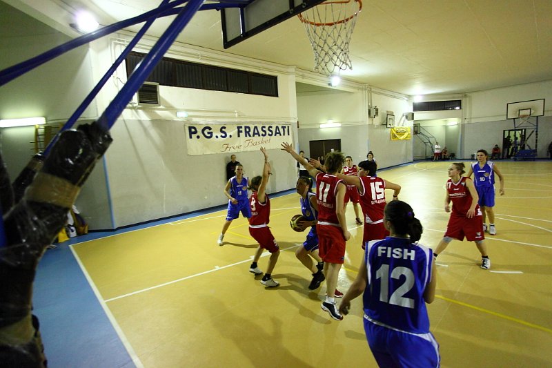 Basket 443036